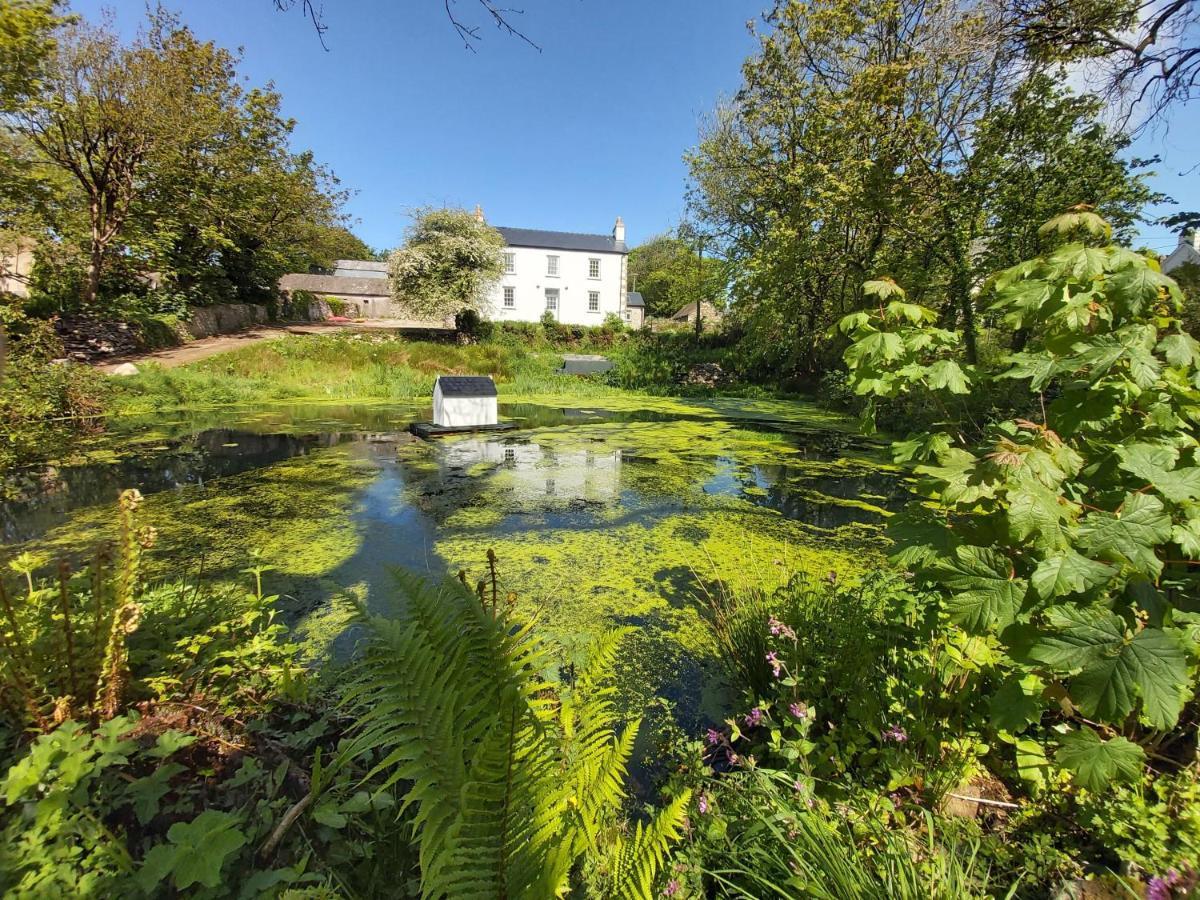 Hen Ffermdy Bed & Breakfast Jordanston Exterior photo